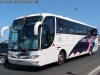 Marcopolo Viaggio G6 1050 / Mercedes Benz O-500RS-1836 / Pullman Santa Rosa Marcopolo Viaggio G6 1050 / Mercedes Benz O-500RS-1836 / Pullman Santa Rosa