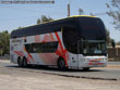 Young Man Skyliner JNP6137S / Atacama Vip