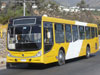 Induscar Caio Mondego H / Mercedes Benz O-500U-1725 / Servicio Alimentador D-03