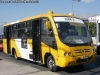 Pauliscar Felino / Mercedes Benz LO-915 / Servicio Alimentador D-13