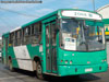Maxibus Dolphin / Mercedes Benz OH-1418 / Servicio Alimentador I-01 Maxibus Dolphin / Mercedes Benz OH-1418 / Servicio Alimentador I-01