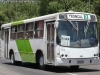 Maxibus Dolphin / Mercedes Benz OH-1418 / Servicio Troncal 307