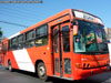 Marcopolo Torino G6 / Mercedes Benz OH-1420 / Servicio Alimentador H-13 Marcopolo Torino G6 / Mercedes Benz OH-1420 / Servicio Alimentador H-13