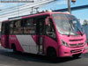 Neobus Thunder + / Agrale MA-9.2 / Servicio Alimentador H-03