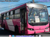 Induscar Caio Apache S21 / Mercedes Benz OH-1418 / Servicio Alimentador H-03 Induscar Caio Apache S21 / Mercedes Benz OH-1418 / Servicio Alimentador H-03