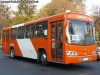 Maxibus Dolphin / Mercedes Benz OH-1420 / Unidad en Tránsito a Servicio