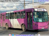 Comil Svelto / Mercedes Benz OH-1420 / Servicio Alimentador F-03