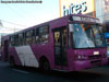 Caio Alpha / Mercedes Benz OH-1420 / Servicio Alimentador F-12 Caio Alpha / Mercedes Benz OH-1420 / Servicio Alimentador F-12