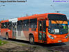 Marcopolo Gran Viale / Volvo B-290R-LE Euro5 / Servicio Troncal 228