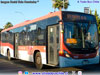 Marcopolo Torino Low Entry / Mercedes Benz O-500U-1930 BlueTec6 / Servicio Troncal 124