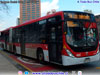 Marcopolo Torino Low Entry / Volvo B-8R-LEA Euro6 / Servicio Alimentador C-14