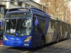 Marcopolo Gran Viale / Volvo B-9SALF / Servicio Troncal 203