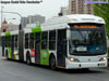 Induscar Caio Mondego LA / Volvo B-9SALF / Servicio Troncal 217e