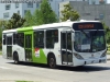 Marcopolo Gran Viale / Volvo B-7R-LE / Servicio Troncal 223