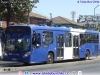 Marcopolo Gran Viale / Volvo B-290R-LE Euro5 / Servicio Alimentador G-08v (T238E)