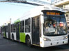 Induscar Caio Mondego LA / Volvo B-9SALF / Servicio Troncal 210