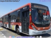 Marcopolo Torino Low Entry / Mercedes Benz O-500UA-2836 BlueTec6 / Servicio Troncal 419