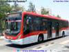Marcopolo Torino Low Entry / Volvo B-8R-LE Euro6 / Servicio Alimentador B-41