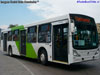 Induscar Caio Mondego H / Mercedes Benz O-500U-1726 / Servicio Troncal 301