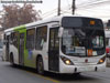 Marcopolo Gran Viale / Volvo B-7R-LE / Servicio Troncal 428