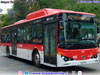 BYD Bus K-9FE / Servicio Troncal 516