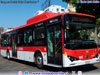 BYD Bus K-9FE / Servicio Troncal 406