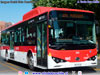 BYD Bus K-9FE / Servicio Troncal 406