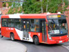 Neobus Mega / Mercedes Benz OH-1115L-SB / Servicio Alimentador C-11 Neobus Mega / Mercedes Benz OH-1115L-SB / Servicio Alimentador C-11