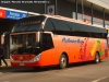 Zhong Tong Navigator LCK6137H / Pullman Bus Costa Central S.A.