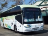 Young Man Starliner JNP6126L / Nilahue Young Man Starliner JNP6126L / Nilahue