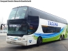 Young Man Skyliner JNP6137S / Tacoha Young Man Skyliner JNP6137S / Tacoha