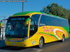 Neobus New Road N10 360 / Volvo B-380R Euro5 / Terma Tur