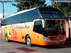 Zhong Tong Navigator LCK6137H / Pullman Bus Costa Central S.A.