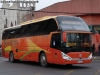 Zhong Tong Navigator LCK6137H / Pullman Palmira Zhong Tong Navigator LCK6137H / Pullman Palmira