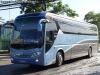 Daewoo Bus A-120 / Buses Golondrina