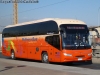 Young Man Starliner JNP6126L / Pullman Bus Young Man Starliner JNP6126L / Pullman Bus