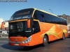 Zhong Tong Navigator LCK6137H / Pullman Palmira