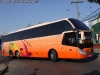 Zhong Tong Navigator LCK6137H / Pullman Palmira