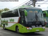 King Long XMQ6130Y Euro4 / Tur Bus King Long XMQ6130Y Euro4 / Tur Bus