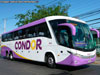 Marcopolo Paradiso G7 1200 / Mercedes Benz O-500RSD-2442 / Cóndor Bus Marcopolo Paradiso G7 1200 / Mercedes Benz O-500RSD-2442 / Cóndor Bus