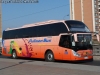 Zhong Tong Navigator LCK6129H / Pullman Bus