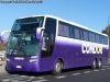 Busscar Jum Buss 380 / Mercedes Benz O-500RS-1836 / Cóndor Bus