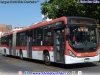 Marcopolo Torino Low Entry / Mercedes Benz O-500UA-2836 BlueTec6 / Servicio Troncal 405