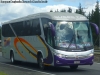 Marcopolo Viaggio G7 1050 / Mercedes Benz O-500RS-1836 / Buses TJM