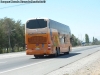 Young Man Skyliner JNP6137S / Pullman Bus