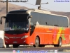 Daewoo Bus A-120 / Buses Pinto