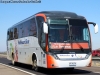 Neobus New Road N10 360 / Scania K-360B / Pullman Bus