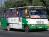 Cuatro Ases PH-52 / Mercedes Benz OF-812 / Línea 6.000 Vía Rural 5 Sur (Gal Bus) Trans O'Higgins Cuatro Ases PH-52 / Mercedes Benz OF-812 / Línea 6.000 Vía Rural 5 Sur (Gal Bus) Trans O'Higgins