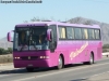 Busscar El Buss 340 / Scania K-113CL / Buses Casther