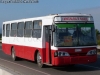 Caio Alpha / Mercedes Benz OH-1420 / I. M. de Pudahuel Caio Alpha / Mercedes Benz OH-1420 / I. M. de Pudahuel